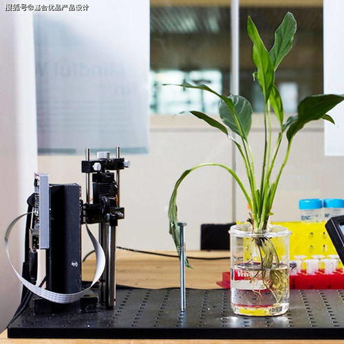 仿生植物融合纳米传感器 实时监测水中杂质与毒素的创新设计